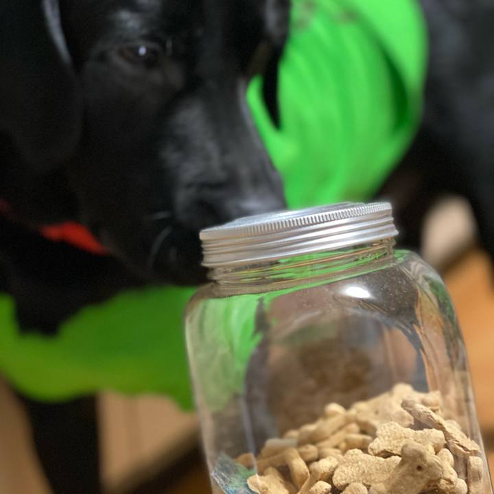 B6c3de95 0184 46ac b1de 4adbb6548e7a 1615806561792