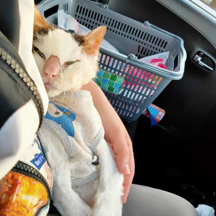 B6c3eac2 7461 46a7 9984 086fdded7578 1618103349380