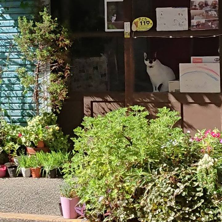 B6c40060 dfc2 4b6c 9a4d 7de394c194c7 1660115465486