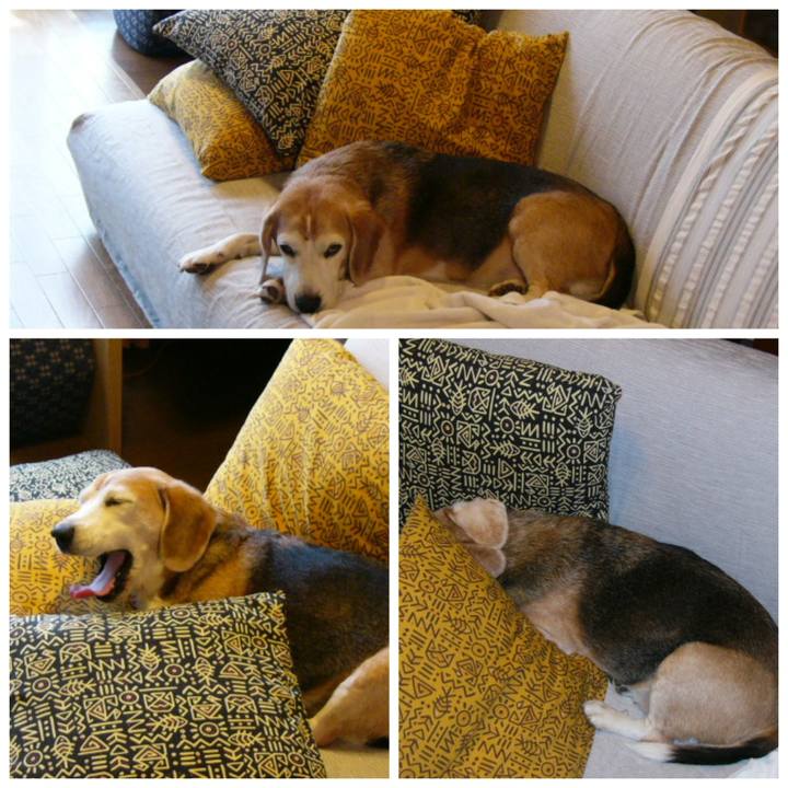 B6c40cb0 7219 49ae 852d 3a17c1e916da 1652489849255