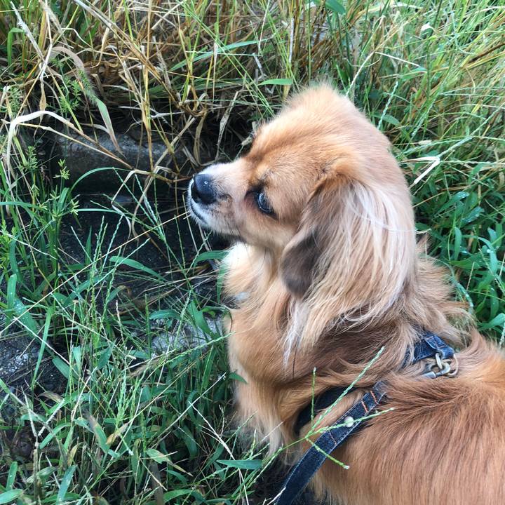 B6c42827 06fc 452b bb30 8f1d67c494ba 1536789428619