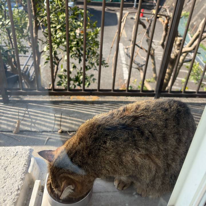 B6c443aa cbf4 4a13 b208 b10575a6b87d 1774141533492