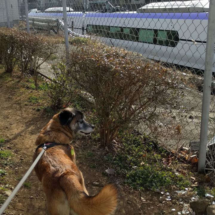 B6c4d186 b69d 4143 a143 bca7ff8999a3 1519778151881