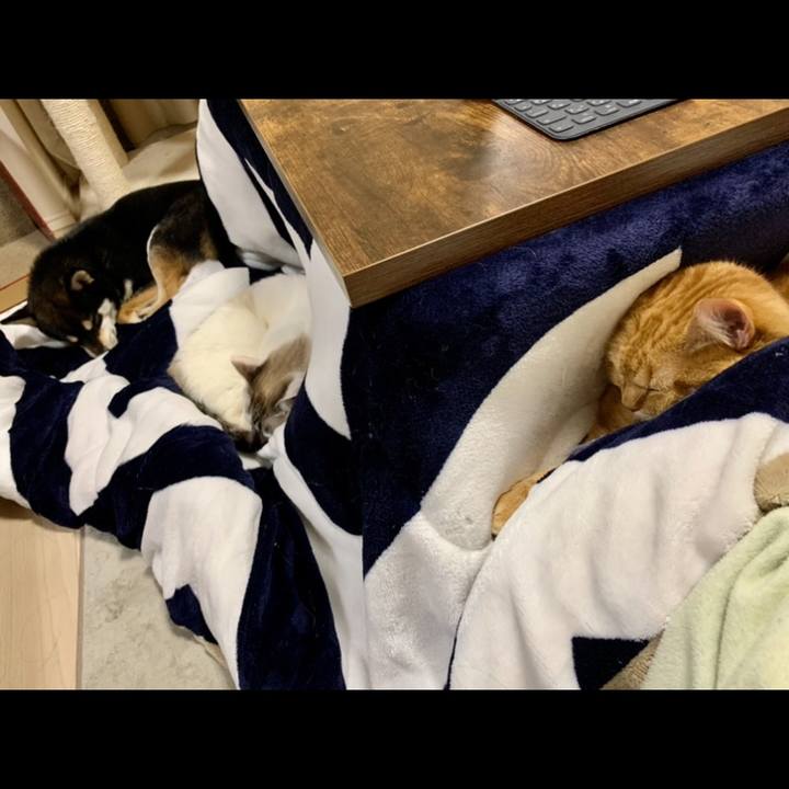 B6c51948 4a9d 4b38 91ff 3ae448d62ce0 1615540509584