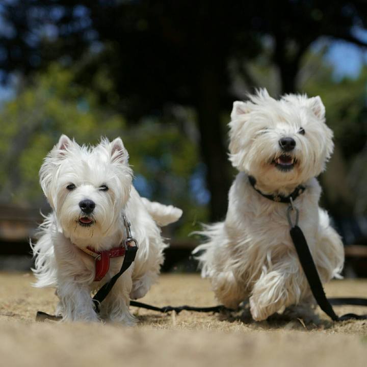 B6c5208f 4b48 41c5 ace9 c1c0d51958bd 1520426446016