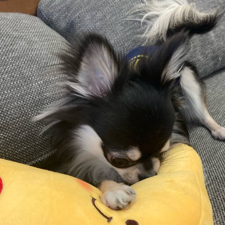 B6c52d53 948d 4031 b70f 8e19c96b7332 1613794854943