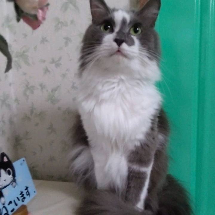 B6c549cd e33f 4ae6 b0a5 00b1ea293e94 1694329804418