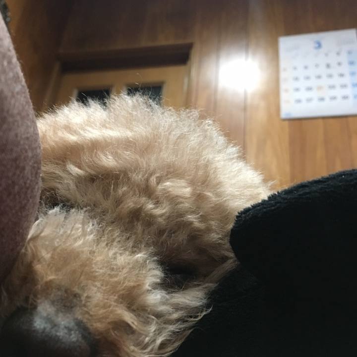 B6c54e56 89c7 446f 9535 7bbc595ef6a4 1558266942059