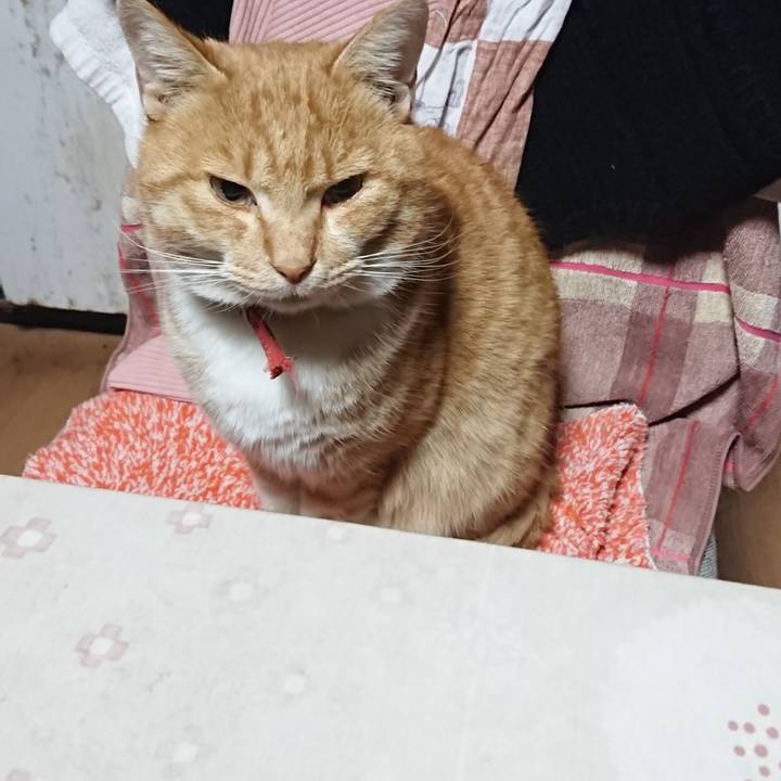 B6c56d01 fad7 44a6 ac6d 41f2fd38de04 1574279780017