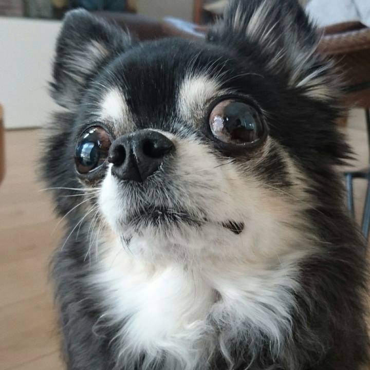 B6c56e7d a337 4748 81c3 01da68fe65c2 1580525259296