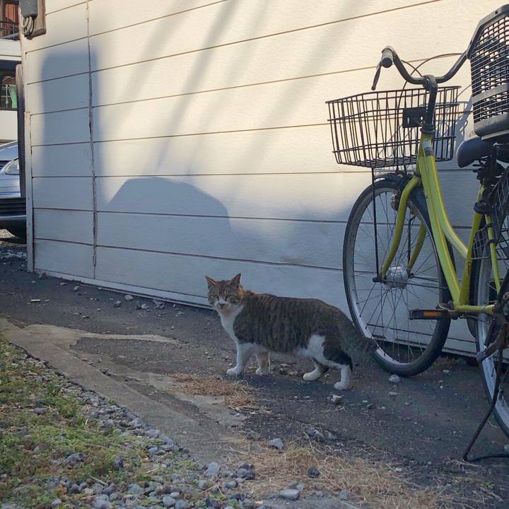 B6c57a10 1f7e 47f1 935e c26ed4ee24bb 1580974608539