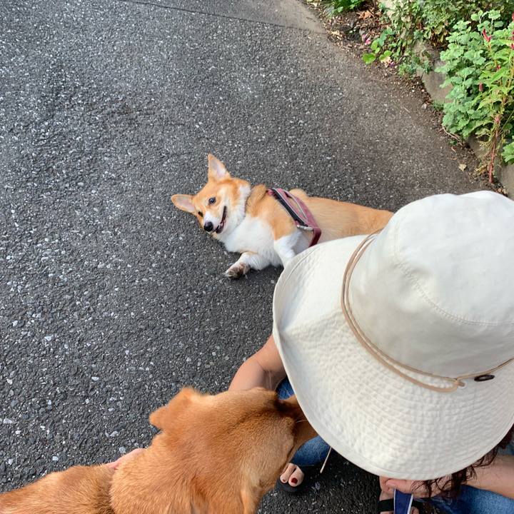 B6c587d3 5154 4a4a 8403 dbc4e251d8f5 1569881411178