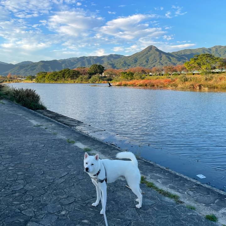 B6c5b76c ca65 435d 9d9e dd8ae9f1f998 1667345413906