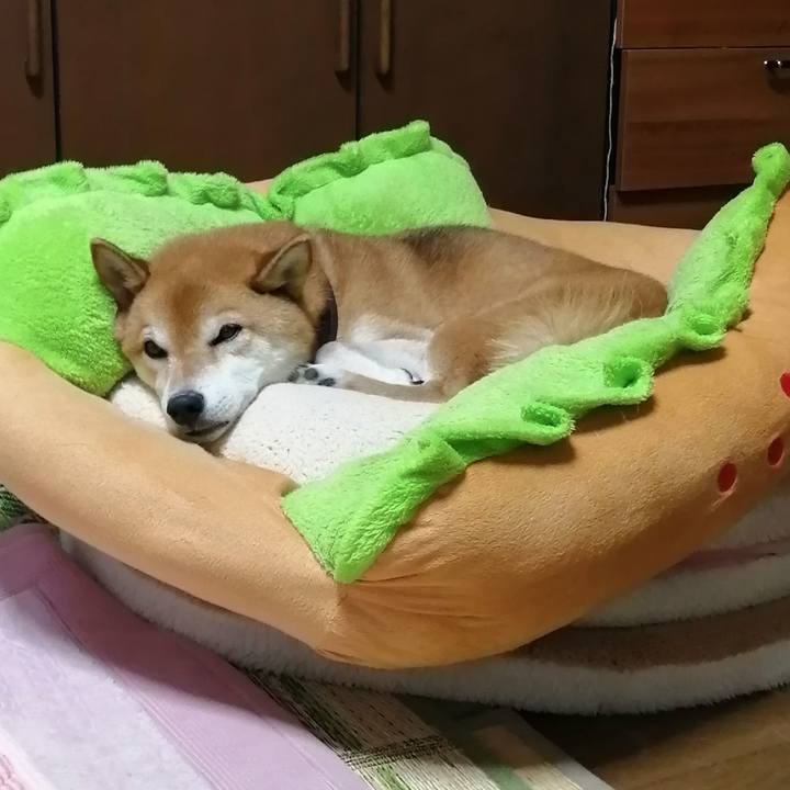 B6c5ca4f 25fb 40a5 8b70 63ebfa9e69a7 1691156311062