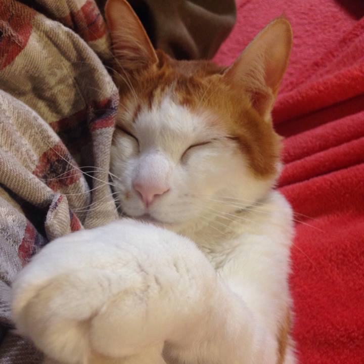 B6c5e5ee c87f 4247 96f2 335f3735c793 1517664024177