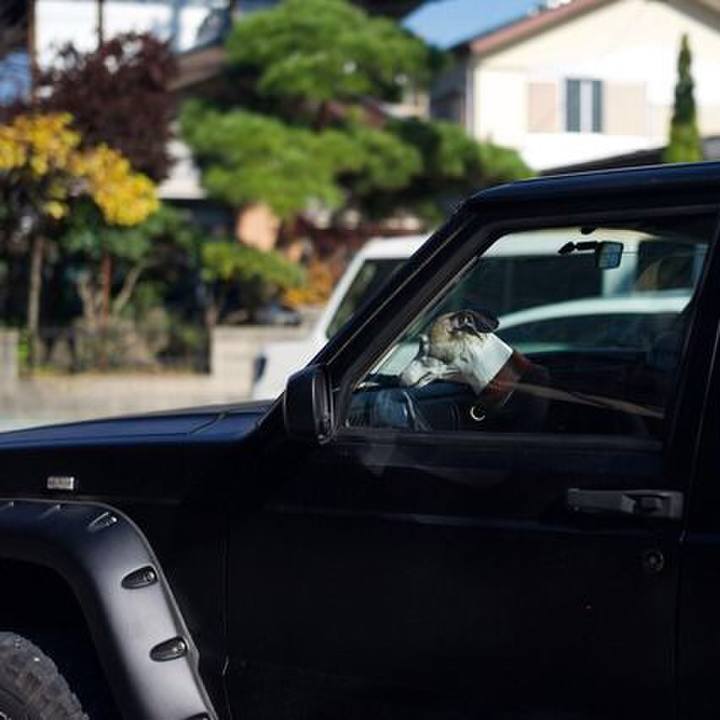 B6c5f76c 81f7 47e4 9a8a 726d2b80de43 1511780870711