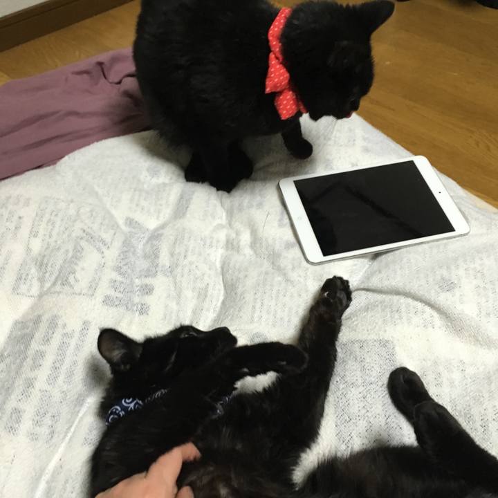 B6c648b9 a384 4173 b0fc 4dfcd99ad647 1548587568509