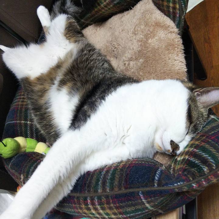 B6c64cbe 9992 4965 a584 ebb92a790954 1665547127185