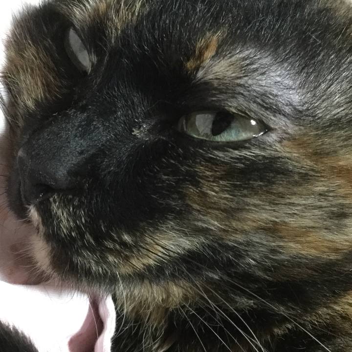 B6c657d9 eb40 4e23 a9a1 e99a80236b51 1559557570923