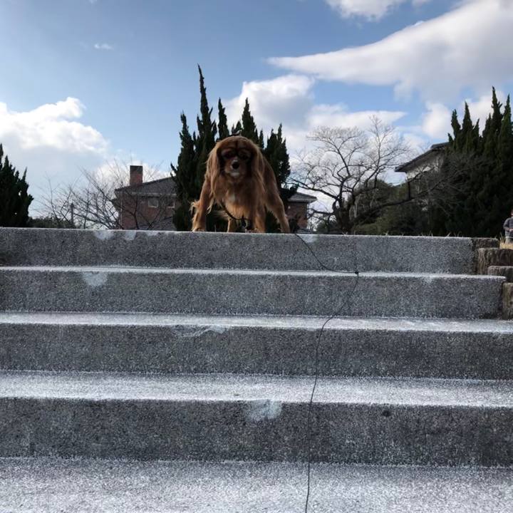 B6c67a7e d791 49b0 87d8 c198e8a9cd38 1580767279486