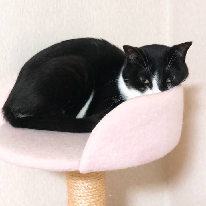 B6c6d15b 2e38 42df b6b5 a28013b6f4e5 1529275837570