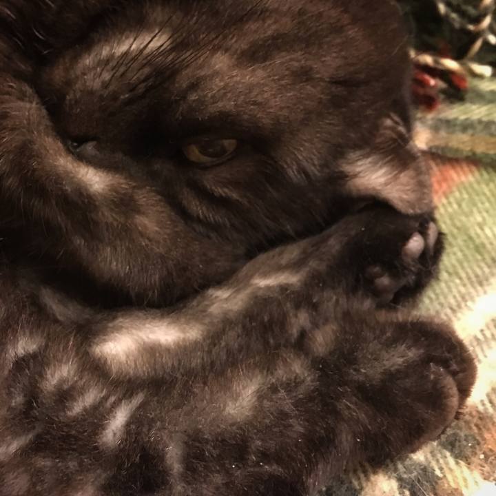 B6c74e63 c553 4ea2 9452 1bfd2517d257 1542299755879