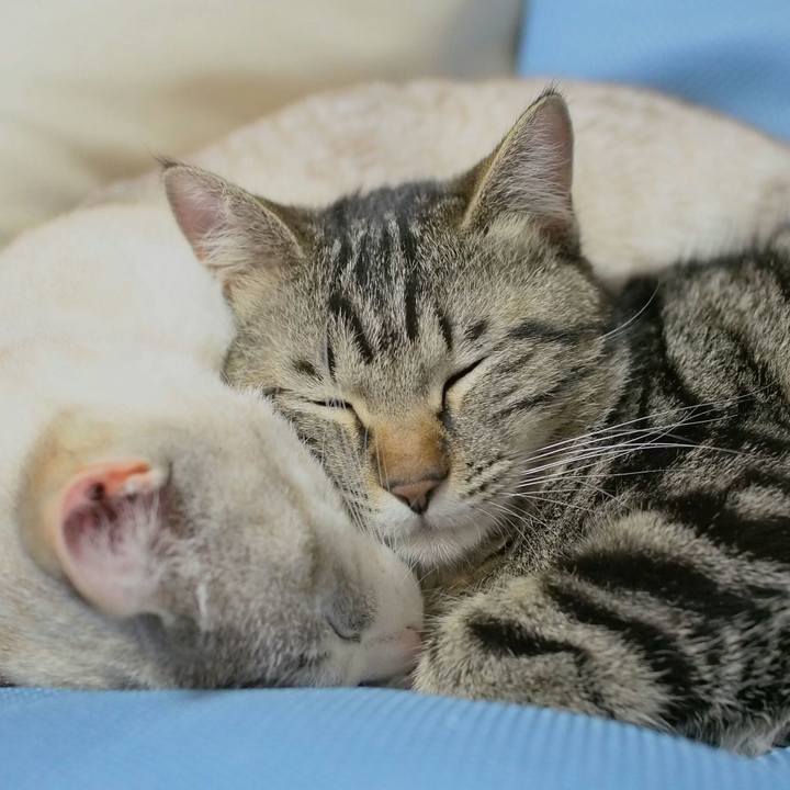 B6c752e9 865c 4fd3 ae49 4c588643e311 1522242077211