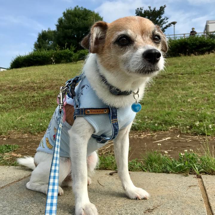 B6c7783f 96d8 41c9 8d5f 526220dfa333 1626048906903