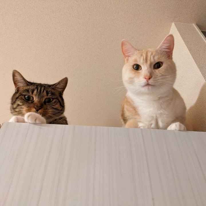 B6c7a17d 5147 46e5 a759 45381888924e 1687902132109