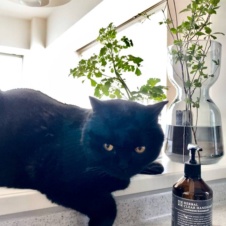 B6c7b14e 8c5f 46e3 848c a2e832438b17 1659307162294