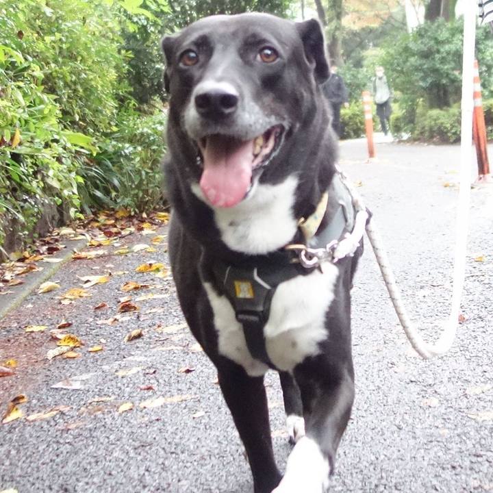 B6c7bcef 9e8e 478a 9283 db1bede192a7 1665190799011