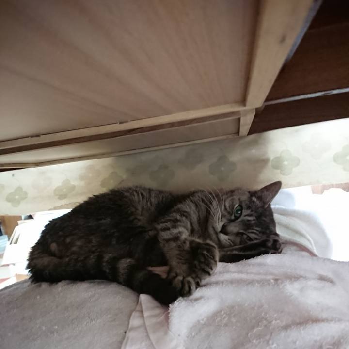 B6c7cd2a 2868 499d baaf c44a21f5c33d 1573956189345