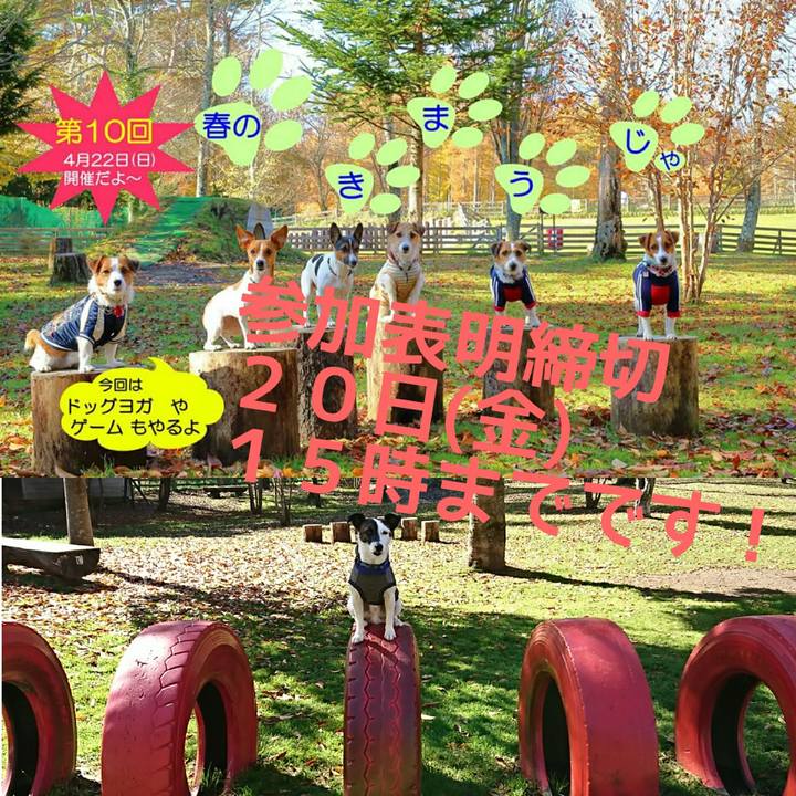 B6c7d39c 0a46 4b4a a9b7 300b7c90015b 1524045693766