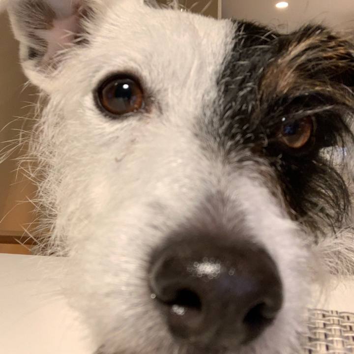 B6c811a1 bc4e 4556 aa78 907f8f8786dd 1612430815018