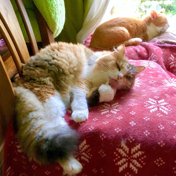 B6c82a7b 35bf 4c63 97de d072102ab6f9 1567762701653