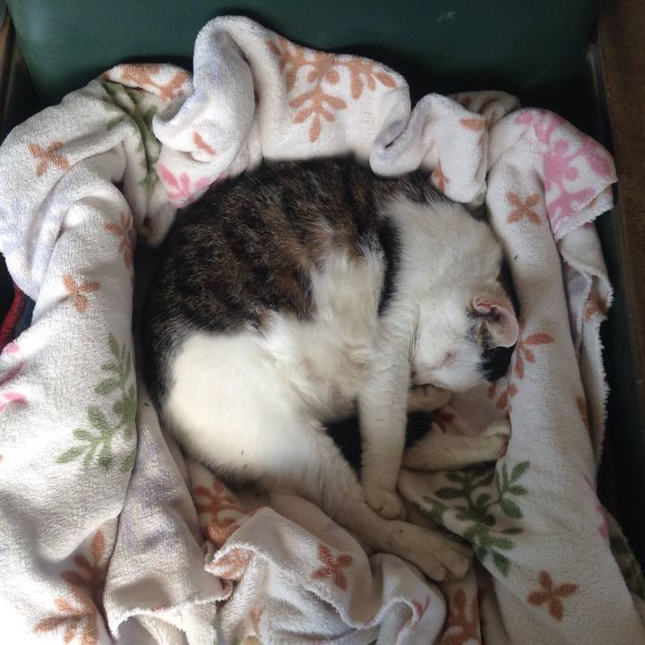 B6c82ae1 52dc 4621 a4bd cb16bcd36aee 1540093135085