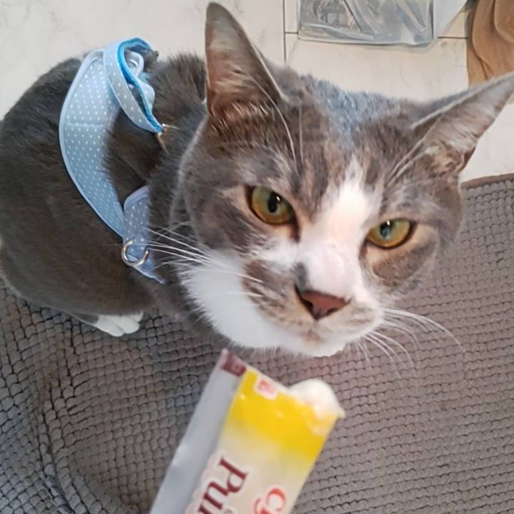 B6c84b02 6571 4657 9ae6 1c0022456ae6 1653452384672