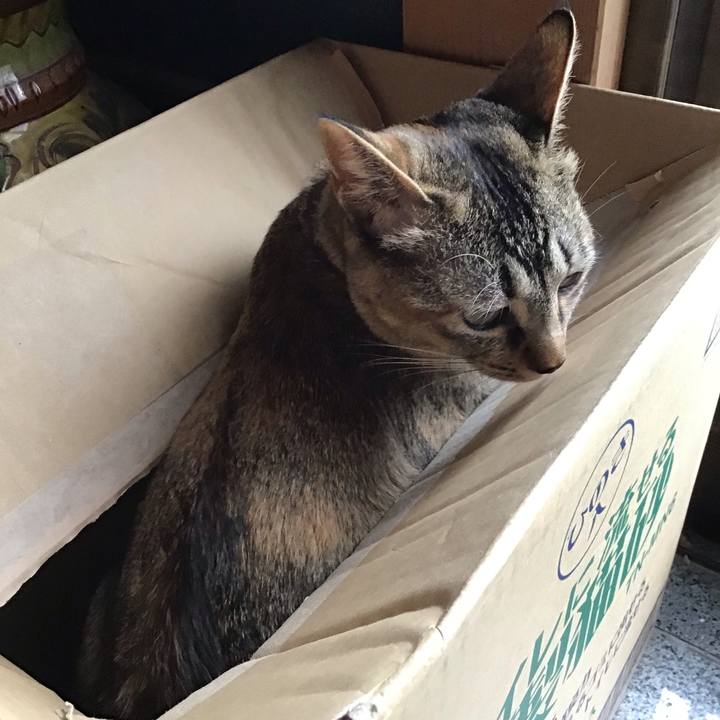 B6c84c68 9f01 41f9 9048 347dc18ed83b 1588572774092