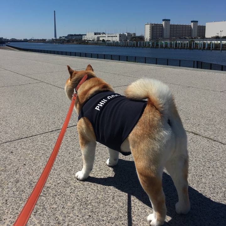 B6c85cf2 2212 4834 a3d4 fb14623e602d 1553400893235