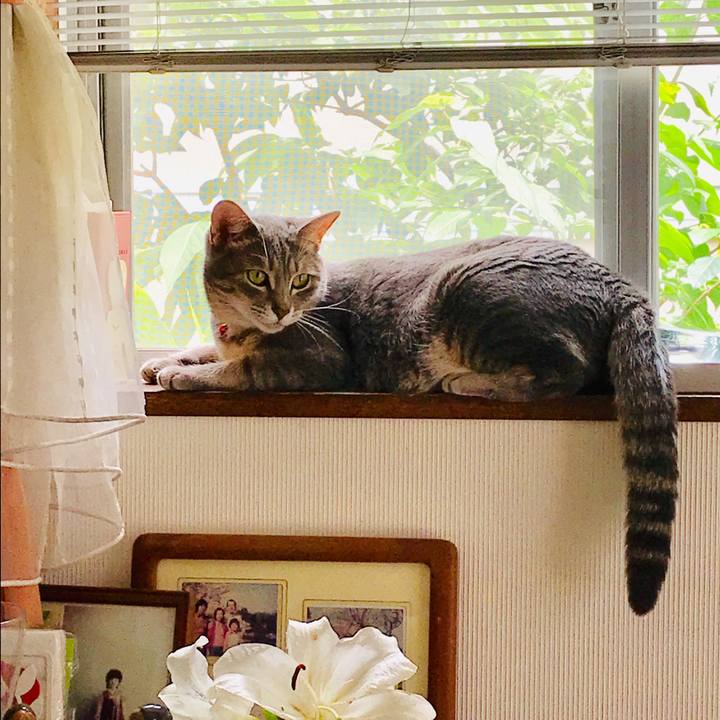 B6c8746d 1838 430c b49e ae21aa8a199f 1564283814651