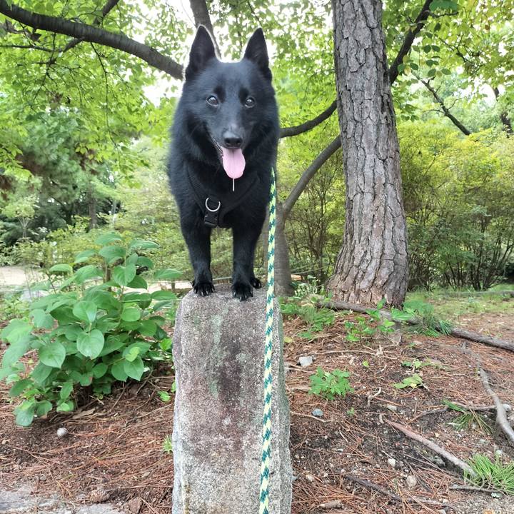 B6c88f98 0b9d 4f3b 820f 5e811c38a2ac 1755037048512