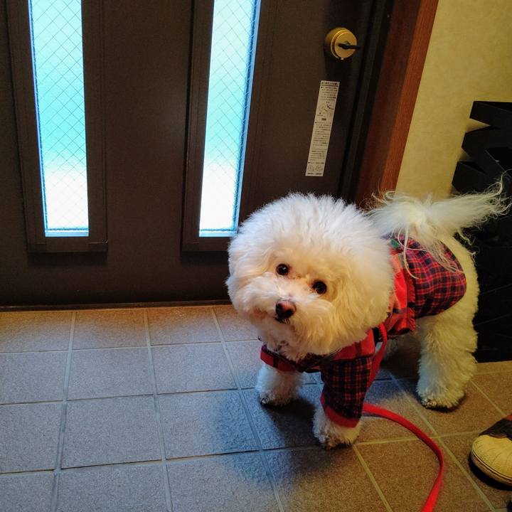 B6c89854 60f7 488f 86c4 708ccd0e5e5e 1583726363119