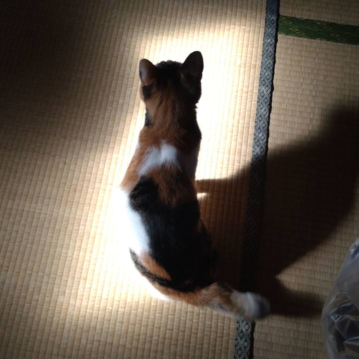 B6c8ad79 b731 47f7 8a39 67becfc6953d 1666408170777