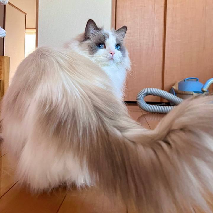 B6c8bc94 c932 46bb ac5c 34044949015c 1675150839516