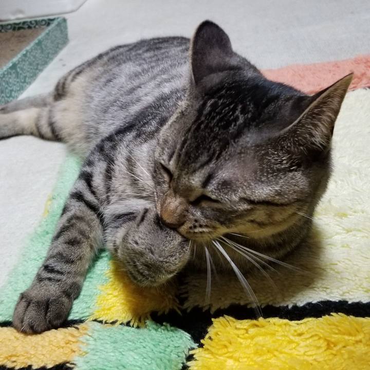 B6c8d049 b230 4dcc 93f0 91232baf8f09 1690545887036