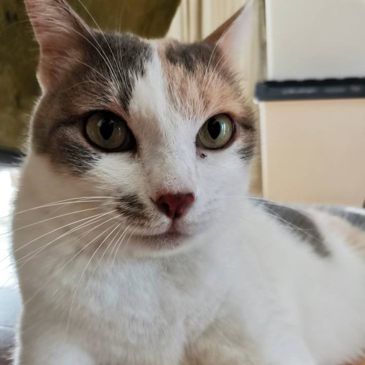 B6c8ebfd d4db 4352 ab6f 79464140f454 1633061006566