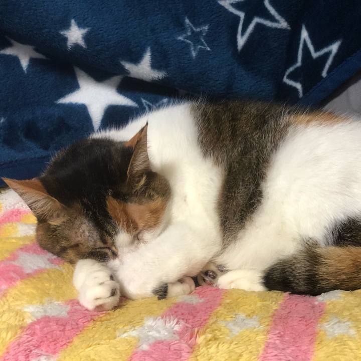 B6c9330a 77d7 4d62 93bd 82b2ad7b7fbf 1584192033758