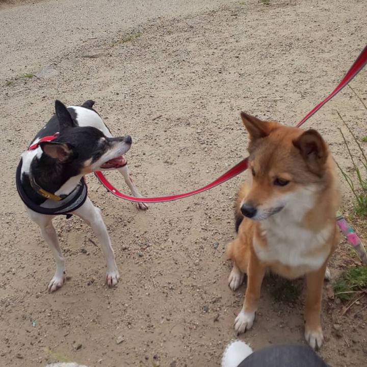 B6c93ae7 b818 47e7 ad84 e7c82cd0dcbc 1557441410961