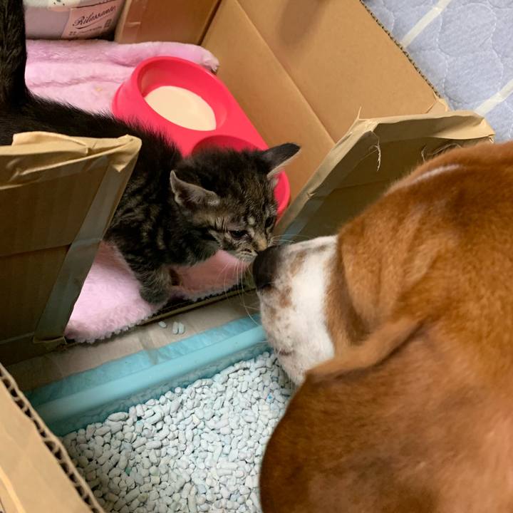 B6c9837e 2f7a 4fed 906e df255c38a6c5 1564199005047