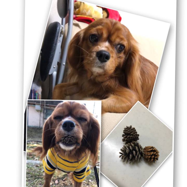 B6c9d3f9 1540 4c97 be71 16cbcbcb64f2 1547123892278